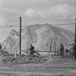 Kopalnia Węgla Brunatnego w Koninie, pole II odkrywki "Gosławice", wrzesień 1959. Górnicy po pracy wracają do domu Fot. Ryszard Kapuściński / archiwum pisarza